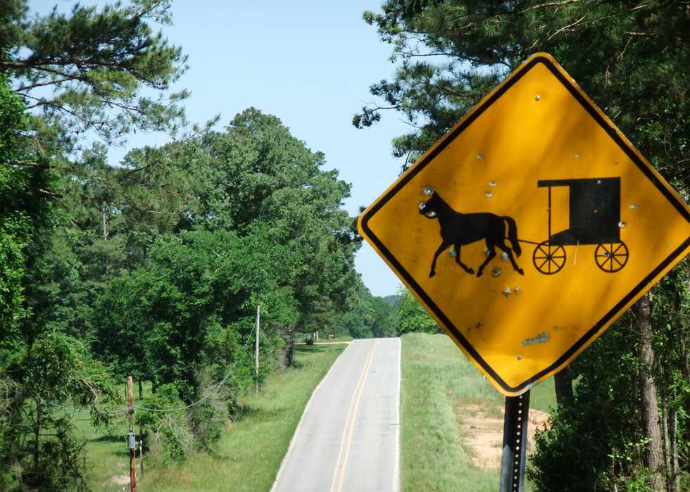 mississippi-Buggy-Sign-Landscape.jpg