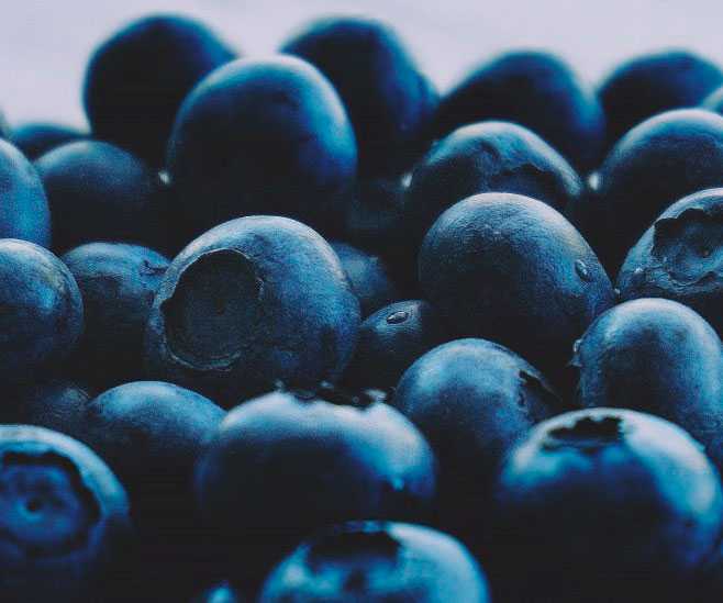 berries_blueberries_close_up_colors_delicious_eating_healthy_fresh_fresh_fruit-1519031.jpg