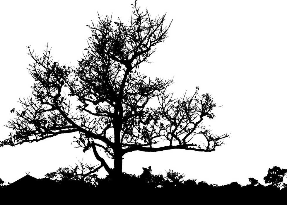 MaxPixel.freegreatpicture.com-Silhouette-Barren-Tree-Leaves-Landscape-Leafless-2026666-(1).jpg