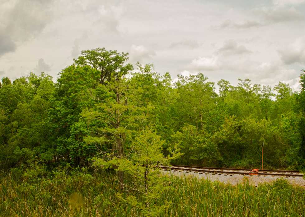 Riding the Rails to Beaumont Country Roads Magazine