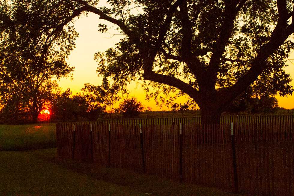 Beaumont-Amelia-Farm-sunset-hi-res.jpg