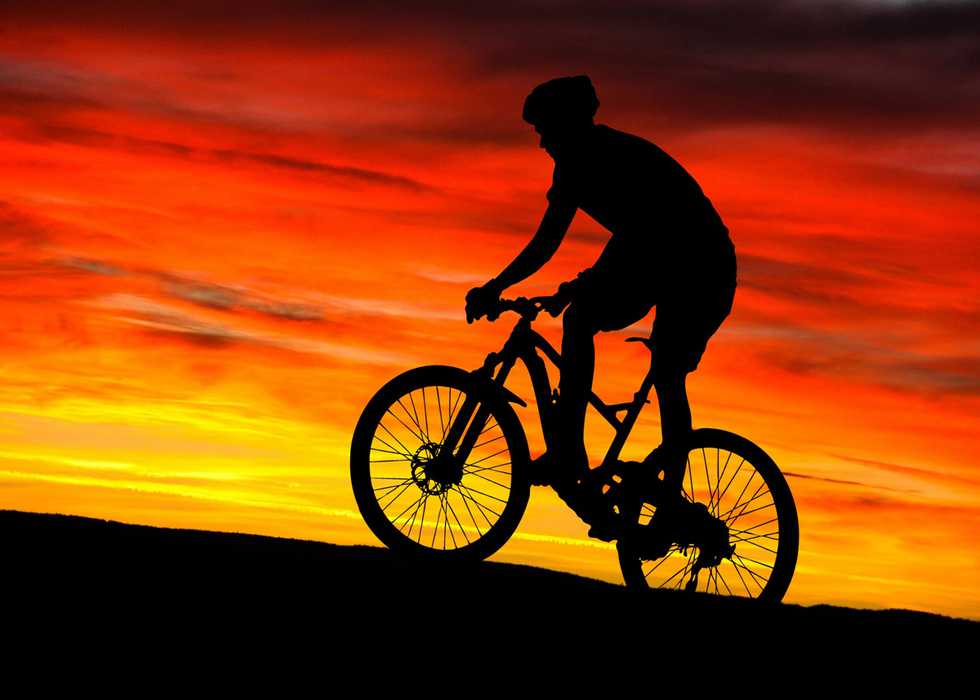 bicycle sunset