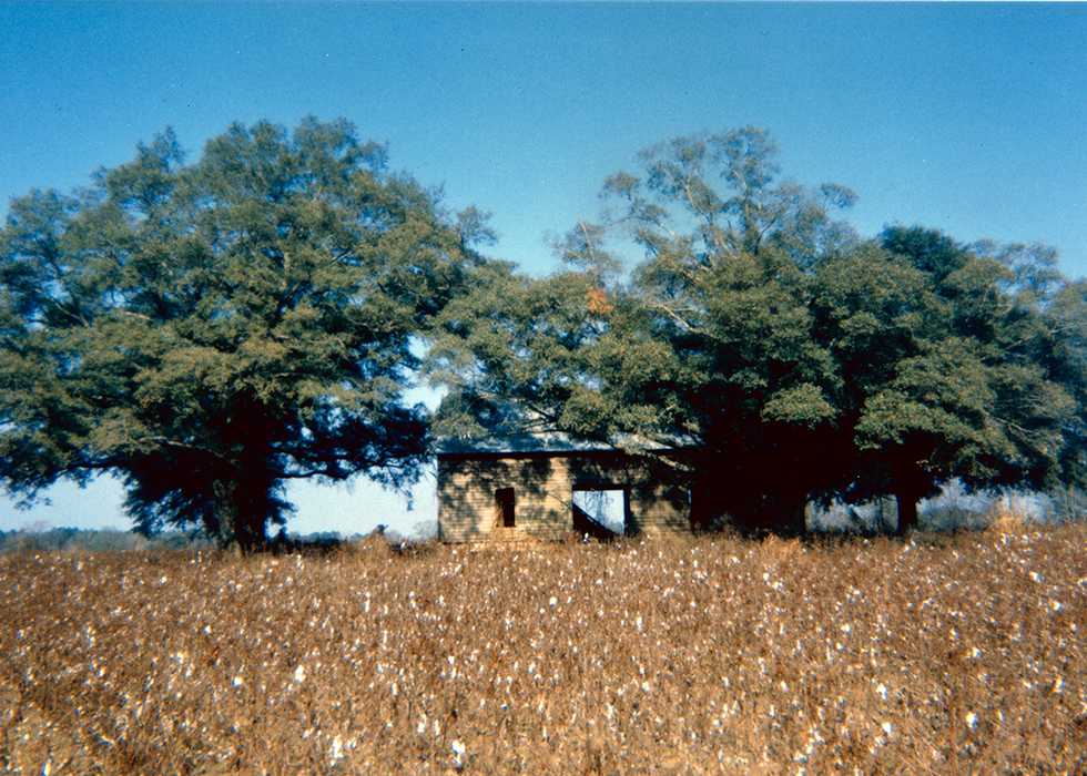 William-Christenberry,-Abandoned-House-in-Field-(View-II),-near-Montgomery,-AL,-1971,-Chromogenic-print,-3.25-x-5-inches,-Ogden-Museum-of-Southern-Art,-Gift-of-the-Roger-H.-Ogden-Collection.jpg
