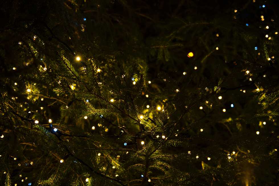 stock photo Christmas lights from unsplash