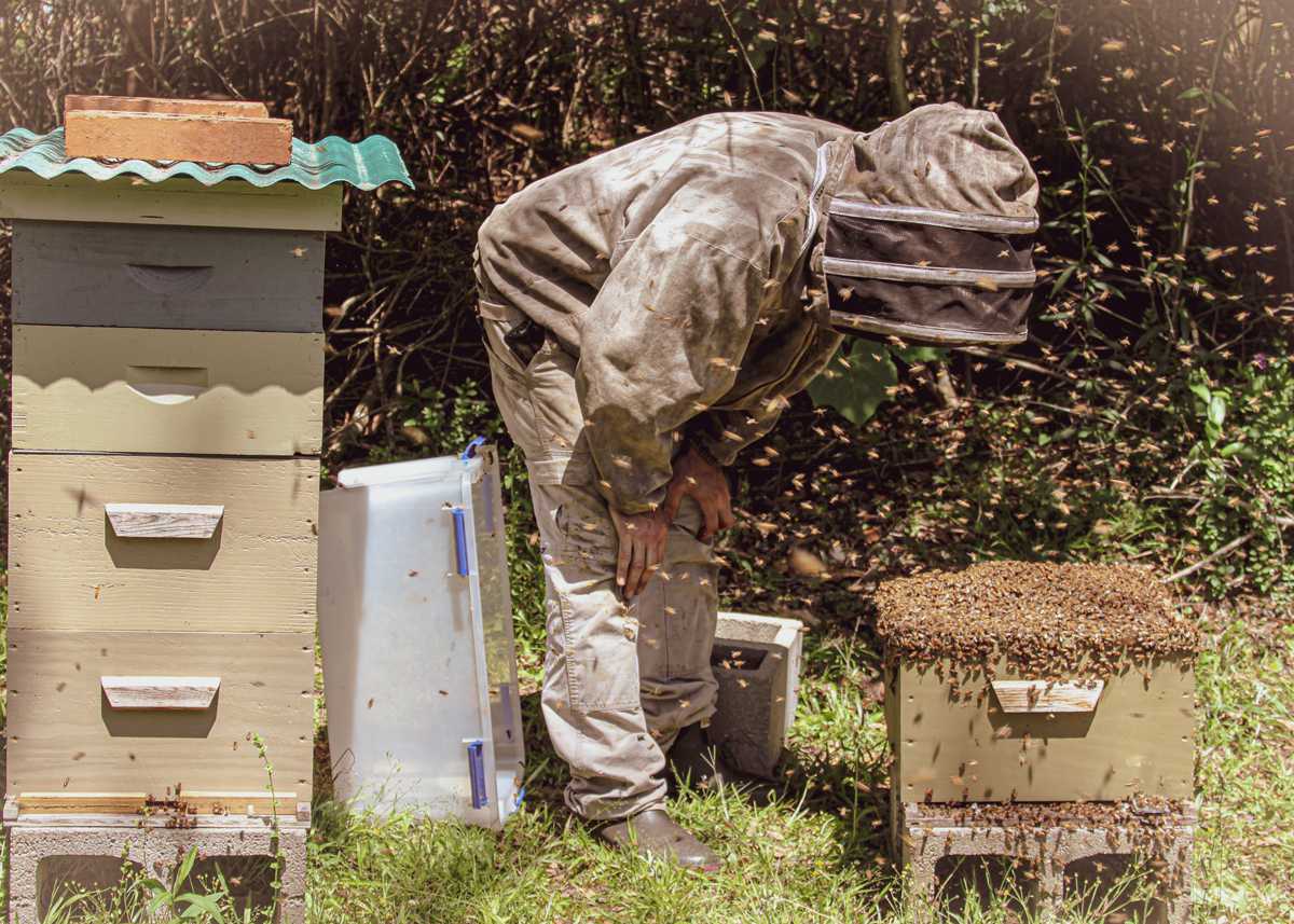 Honey Nut Clusters • Hunter's Honey Farm