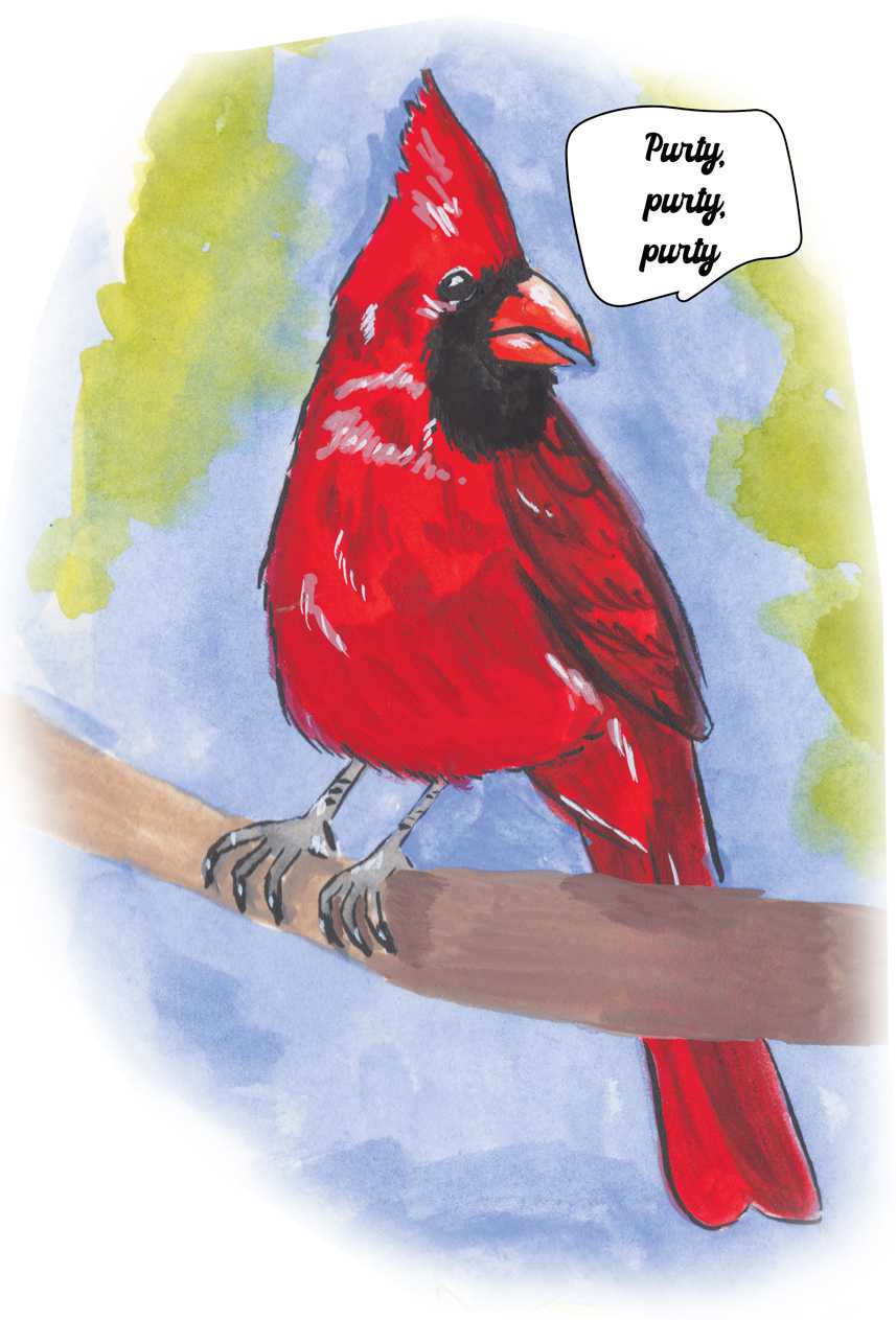 Birds-Cardinal.jpg