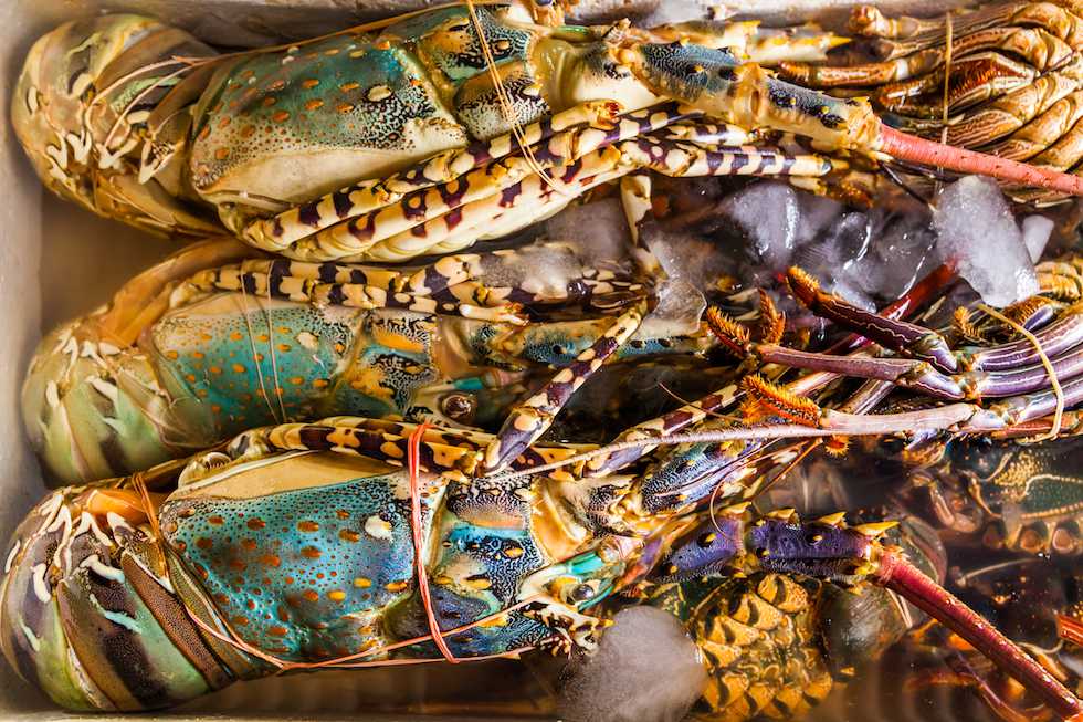 fresh-lobster-at-the-seafood-market-VTHP3MR.jpg