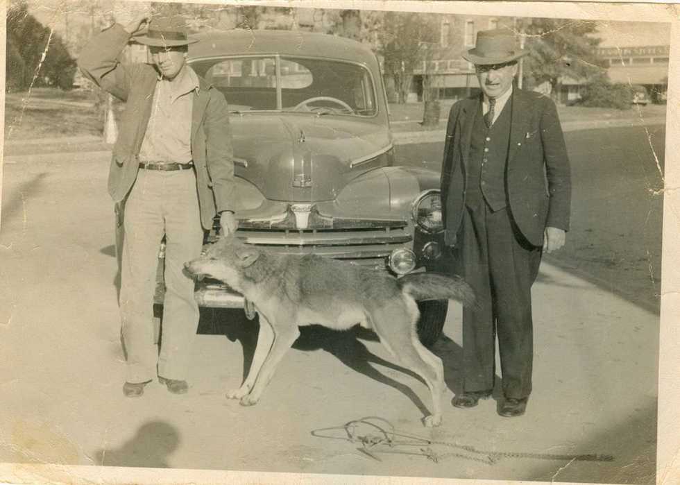 Red-Wolf-Doc-Harris-Dec.-24,-1947-12-miles-west-of-Winnfield.jpg