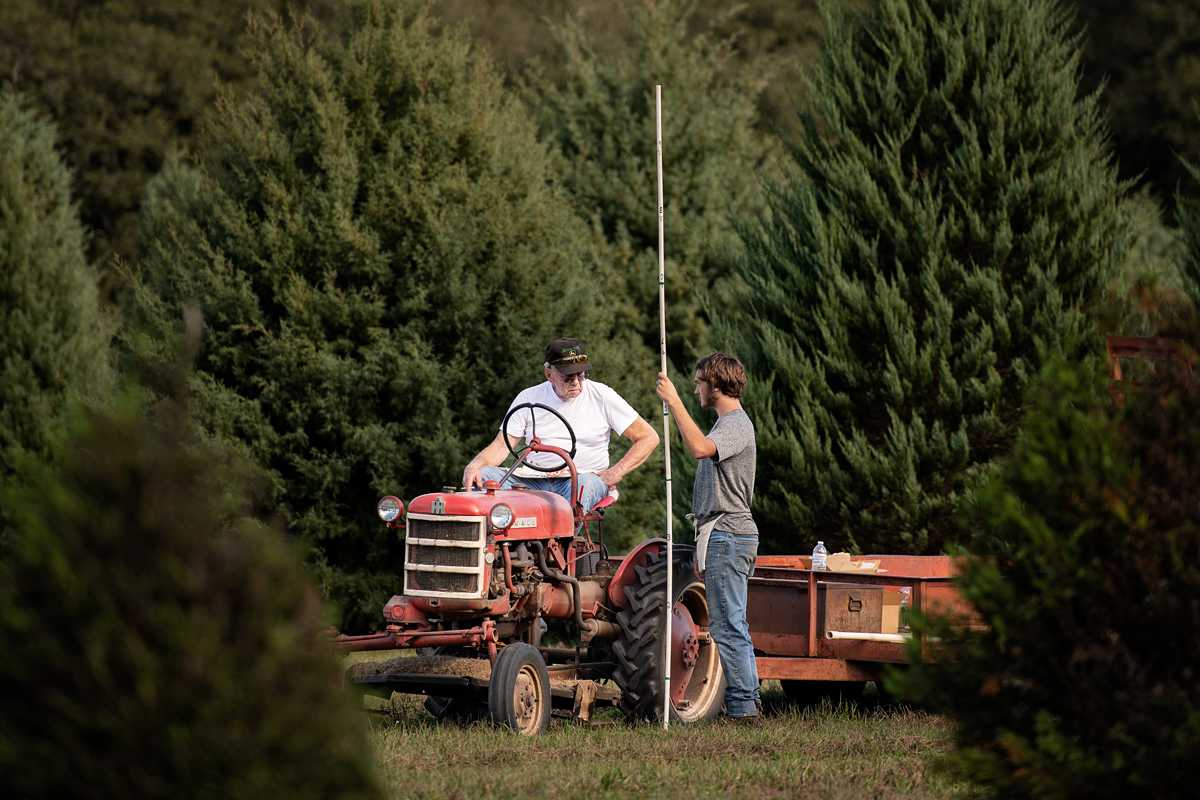 The Accidental Gardener: Something fishy is going on!