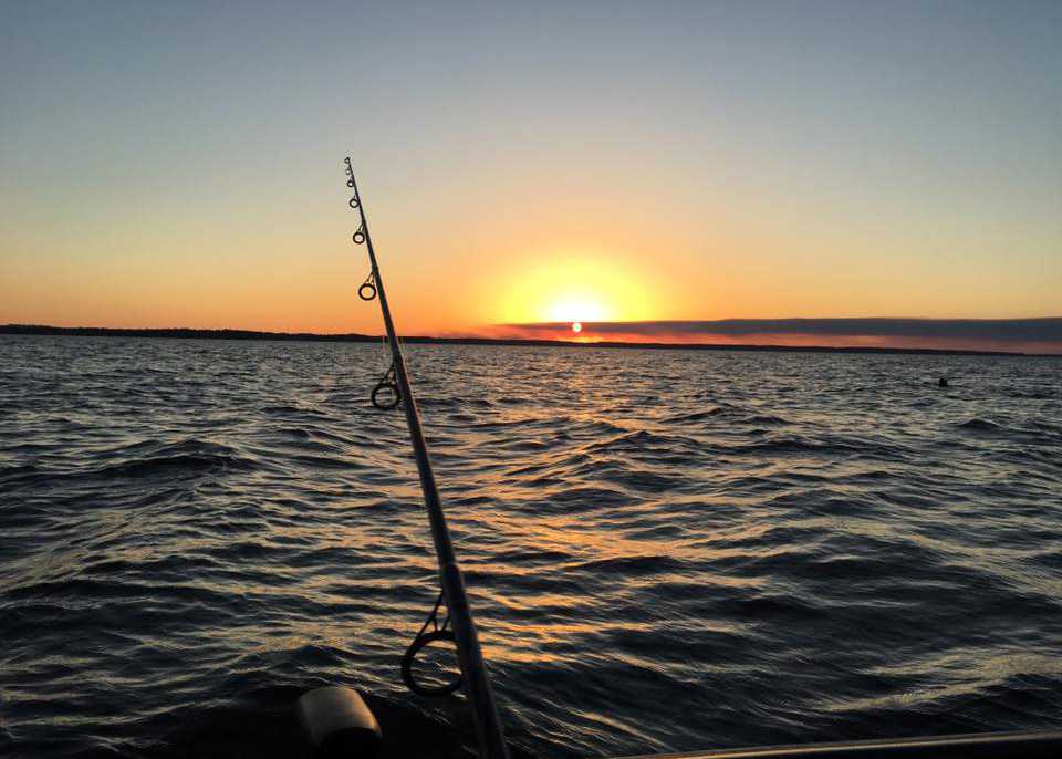 Fishing rod on the lake bent under the weight of fish at sunset