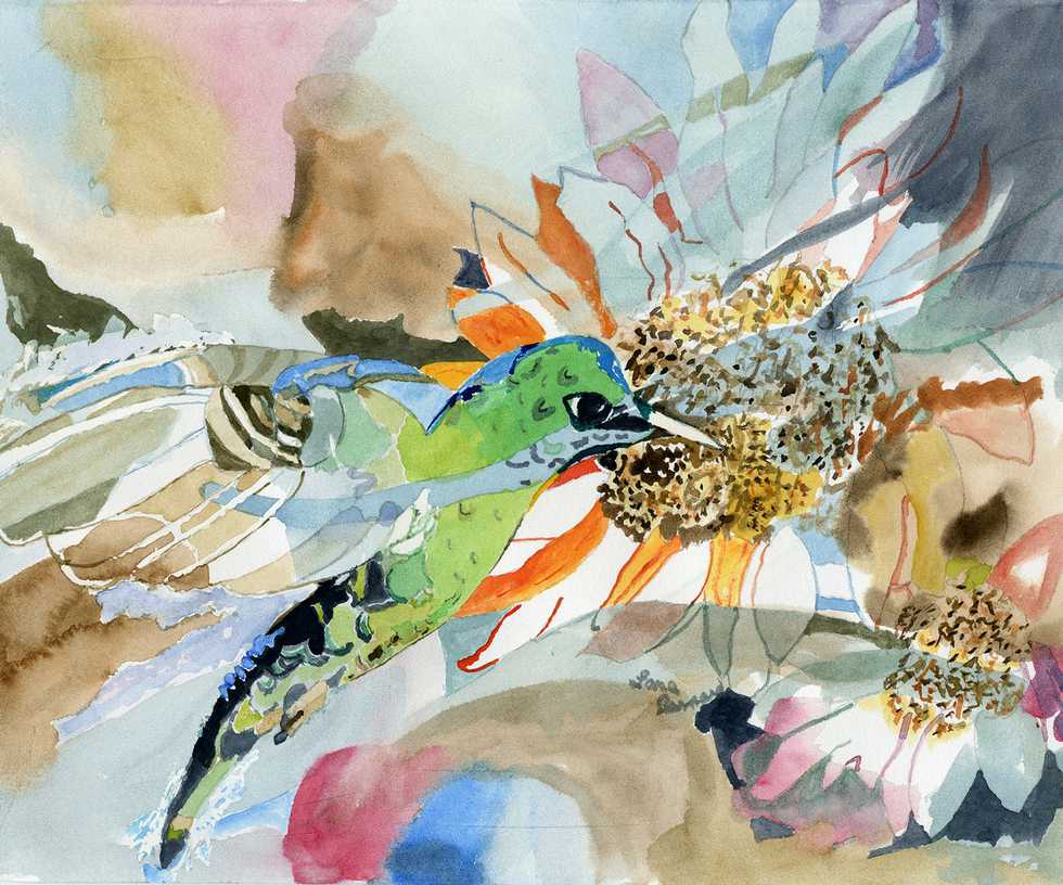 Lana's-hummingbird.jpg
