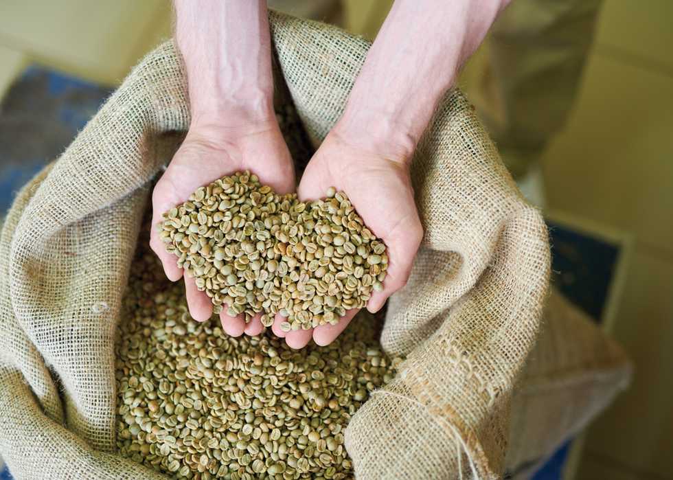 handful-of-green-coffee-beans-2021-09-24-04-14-37-utc.jpg