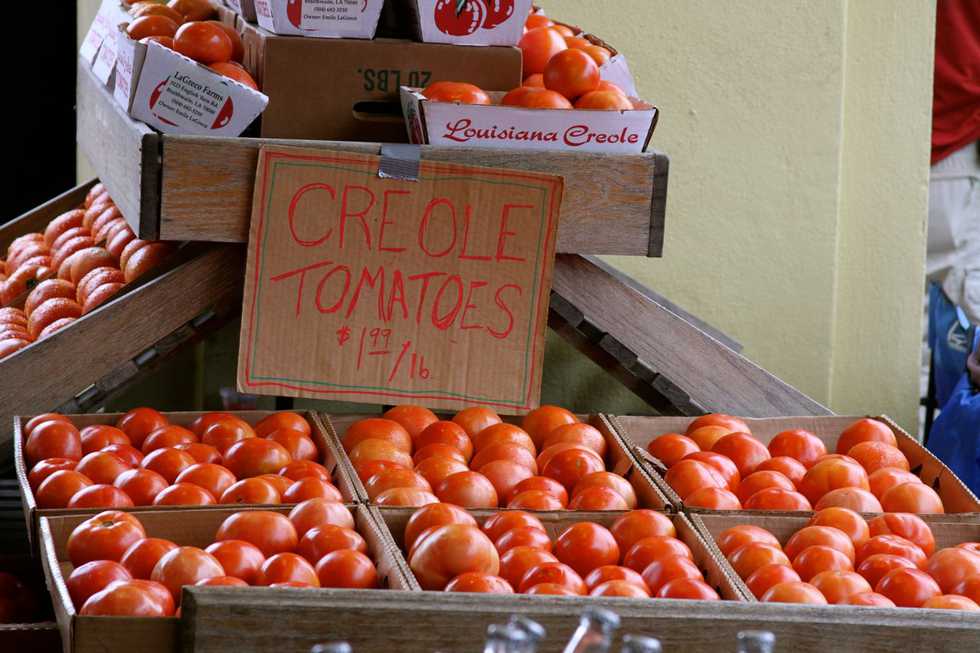 Creole Tomatoes for sale