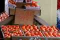 Creole Tomatoes for sale