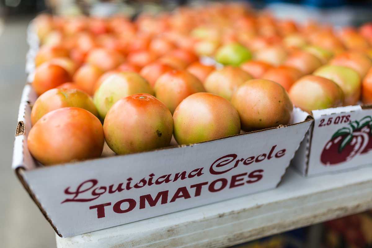 Creole Tomato Festival Returns to the French Market Country Roads