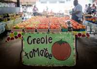 Fresh Creole Tomatoes