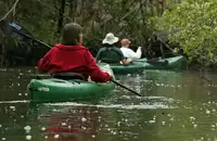 Kayaking in Natchez