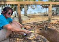 Meet a Capybara at Global Wildlife Center