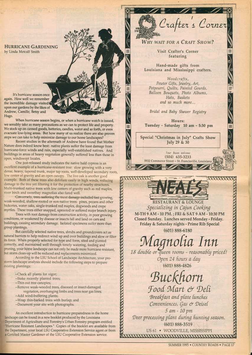 "Hurricane Gardening," published in Country Roads's Summer 1995 issue.