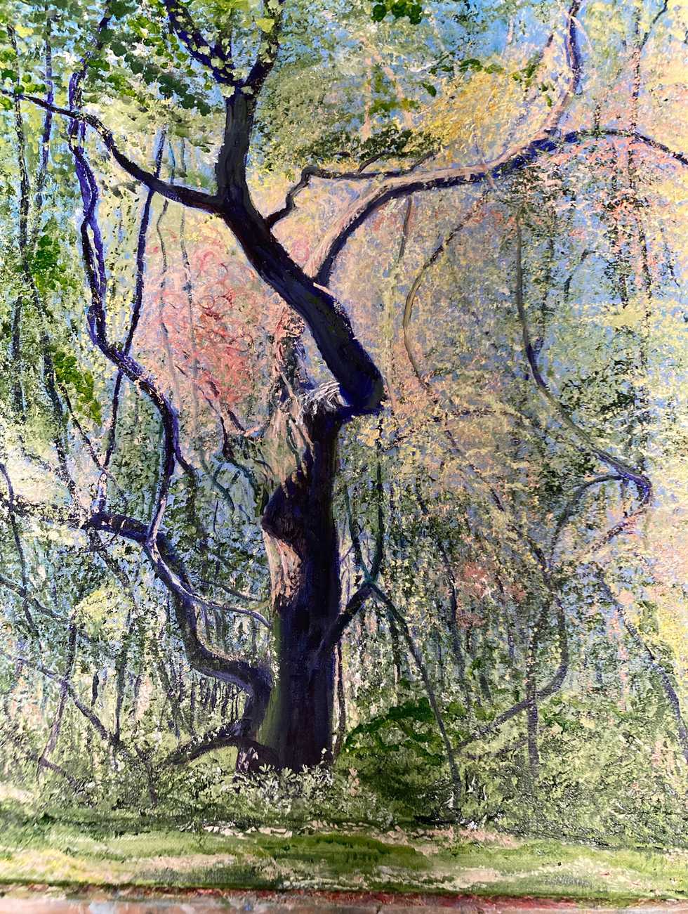 'Mystic-Tree-III'-Oil-Painting-by-Olivia-Pass.jpg