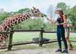 Sharing snacks at BREC Baton Rouge Zoo's brand-new giraffe feeding station
