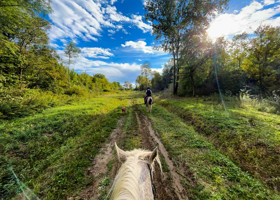 horse-riding-2023-11-27-05-17-09-utc.jpg