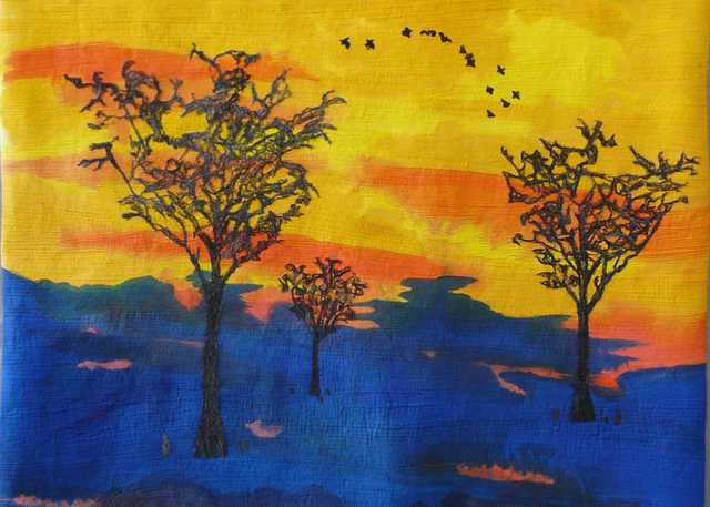 Starn-Cypress-SunsetTEASER.jpg