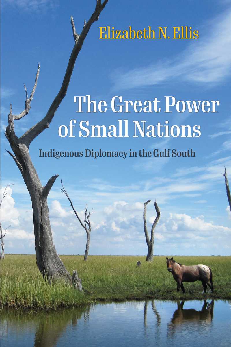 Great-Power-of-Small-Nations_cover.png