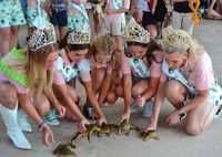Frog Royalty Readying Racing Frogs