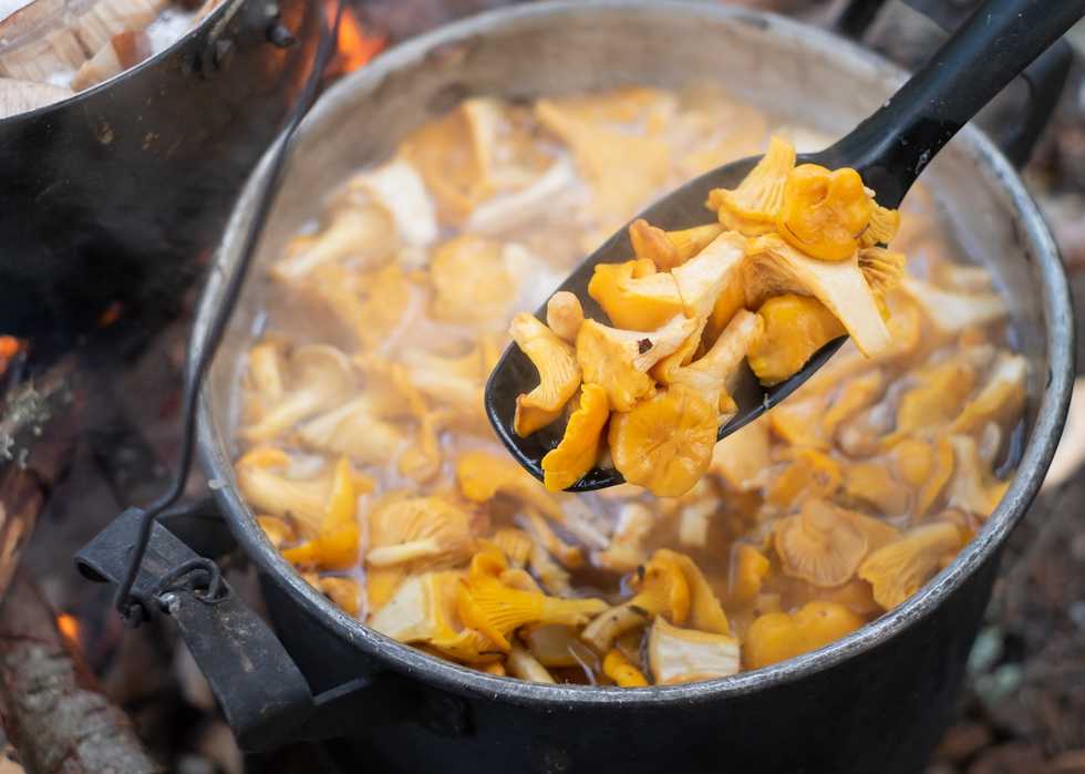 Kettle full of mushrooms on the fire