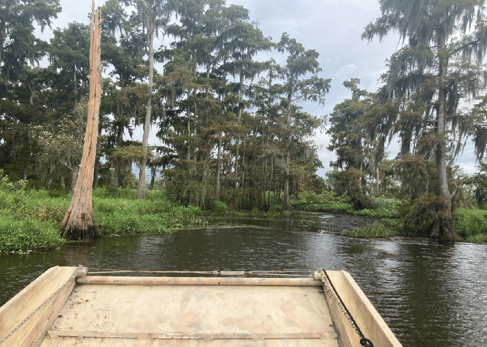 Airboat