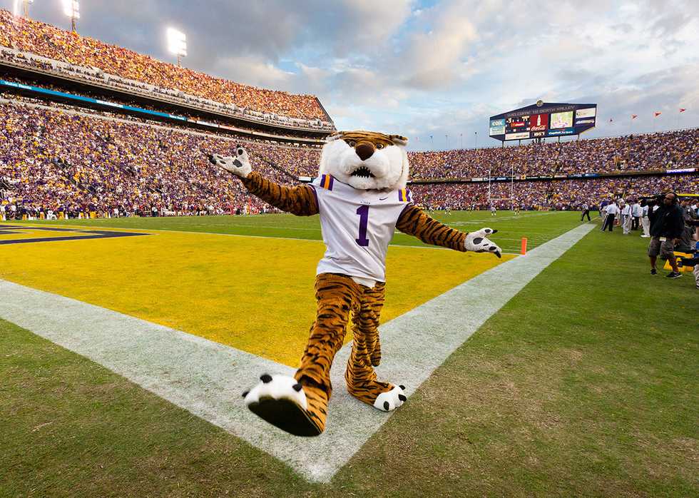 Mike the Tiger Mascot