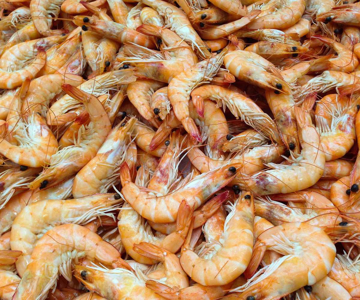 Shrimp and Petroleum Festival Country Roads Magazine